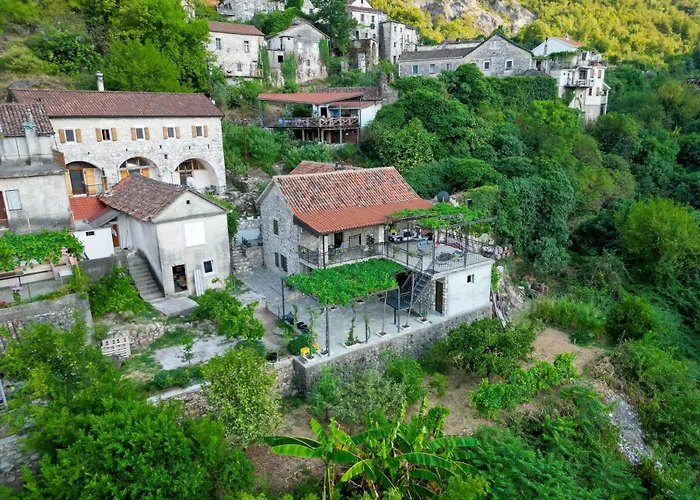 Old House Lekovic